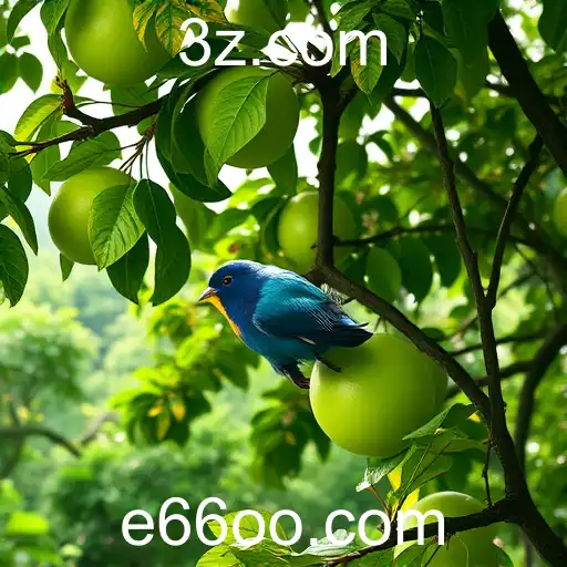 Ascensão da E66 no Cenário de Jogos em 2025